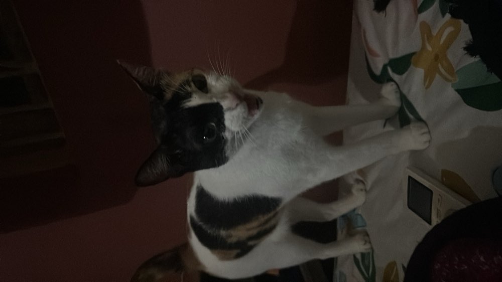 maaf kardo